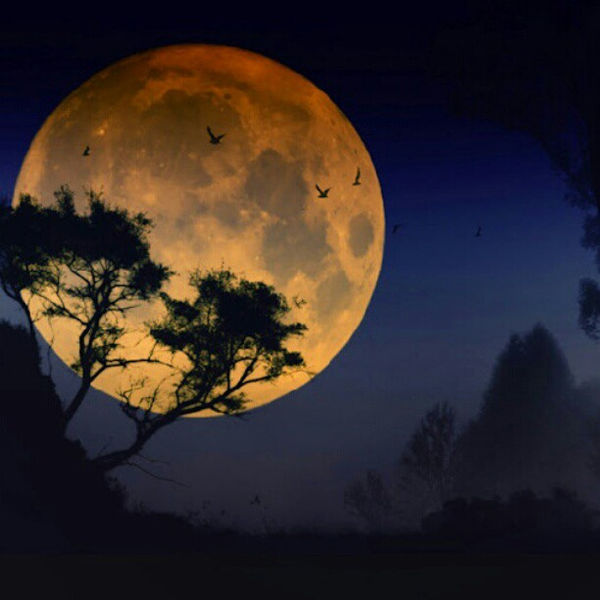 600px-bluemoon-1