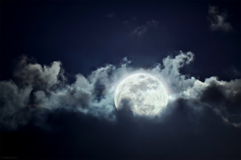 springfullmoon2012-final-net